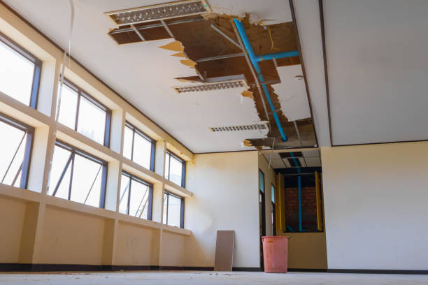 Best Water damage restoration near me  in West Liberty, KY