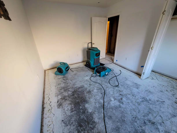 Best Commercial water damage restoration  in West Liberty, KY