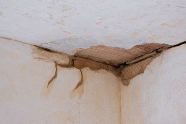 Best Water damage restoration near me  in West Liberty, KY