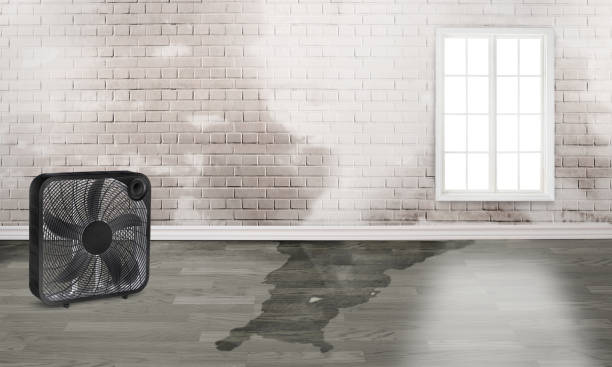 Best 24-hour water damage restoration  in West Liberty, KY