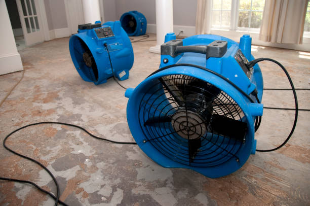 Best Water damage restoration near me  in West Liberty, KY