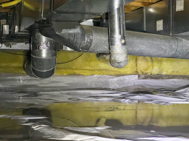 Best Sewage cleanup and water damage restoration  in West Liberty, KY