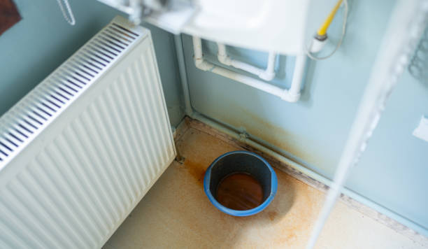 Best Local water damage restoration  in West Liberty, KY