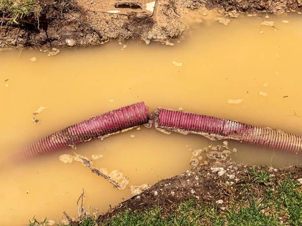Local water damage restoration in KY
