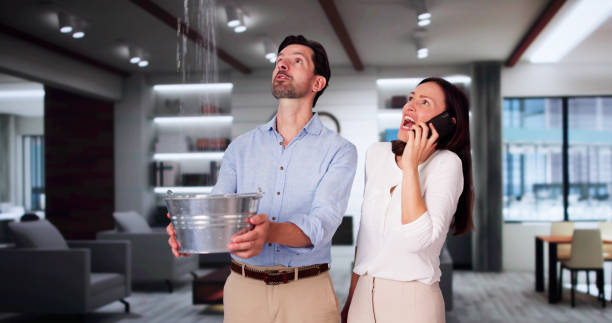 Best Flood restoration services  in West Liberty, KY