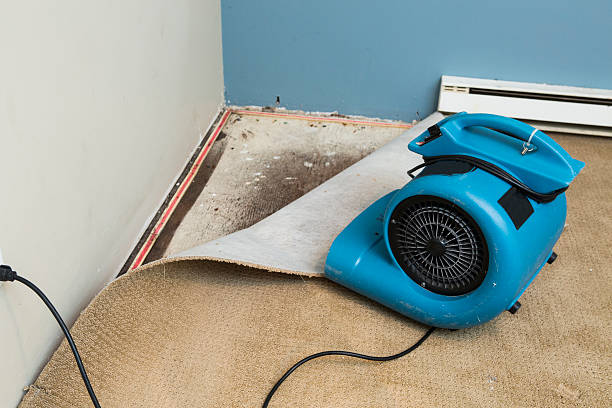 Best Sewage cleanup and water damage restoration  in West Liberty, KY