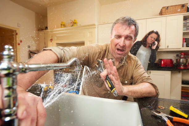 Best Flood damage cleanup  in West Liberty, KY